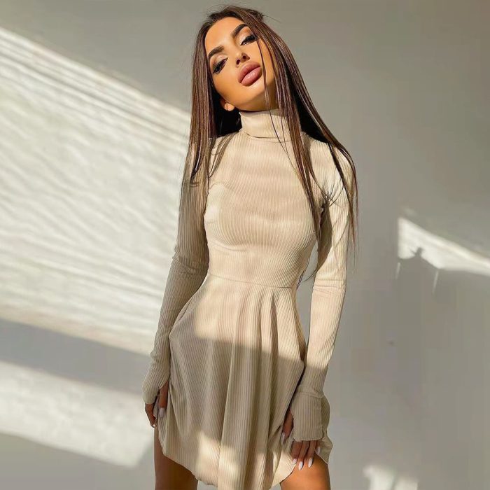 BoozRey Elegant Solid Dresses for Women Long Sleeve Knitted Bottoming A-line Pleated Skirt Casual Streetwear Turtleneck Girl